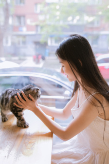 我朋友的妽妽在线观看视频